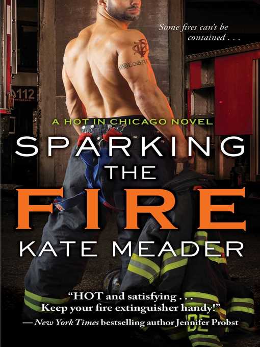 Title details for Sparking the Fire by Kate Meader - Wait list